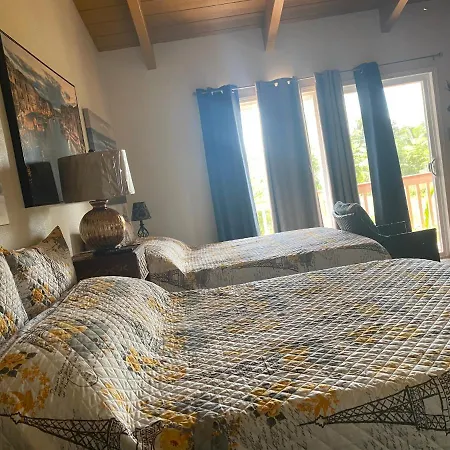 Nice Studio W/ Ac Near Kehena Beach And Lava Fields Extérieur photo