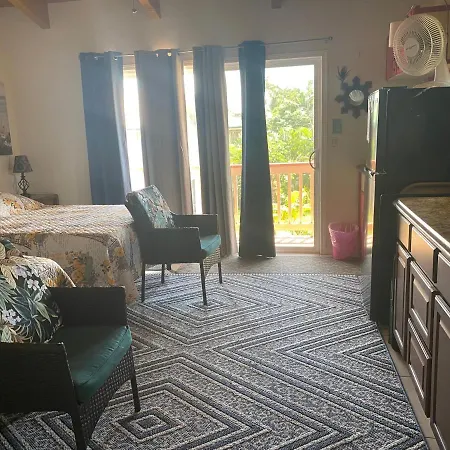 Nice Studio W/ Ac Near Kehena Beach And Lava Fields Extérieur photo