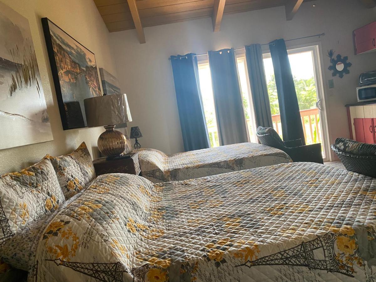 Appartement W/ Ac Near And Lava Fields