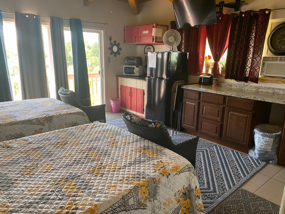 W/ Ac Near And Lava Fields Appartement Kehena